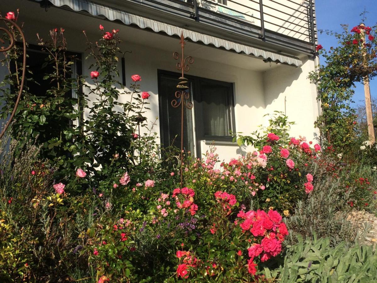 Stilvolles Im Allgaeu Apartment *